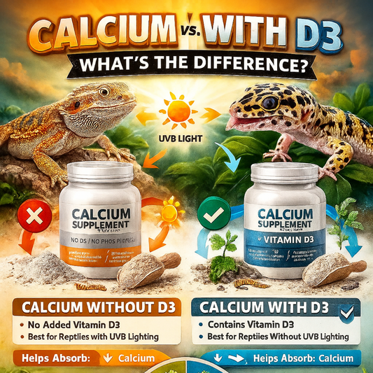 Calcium With D3 vs. Without D3: What’s the Difference?