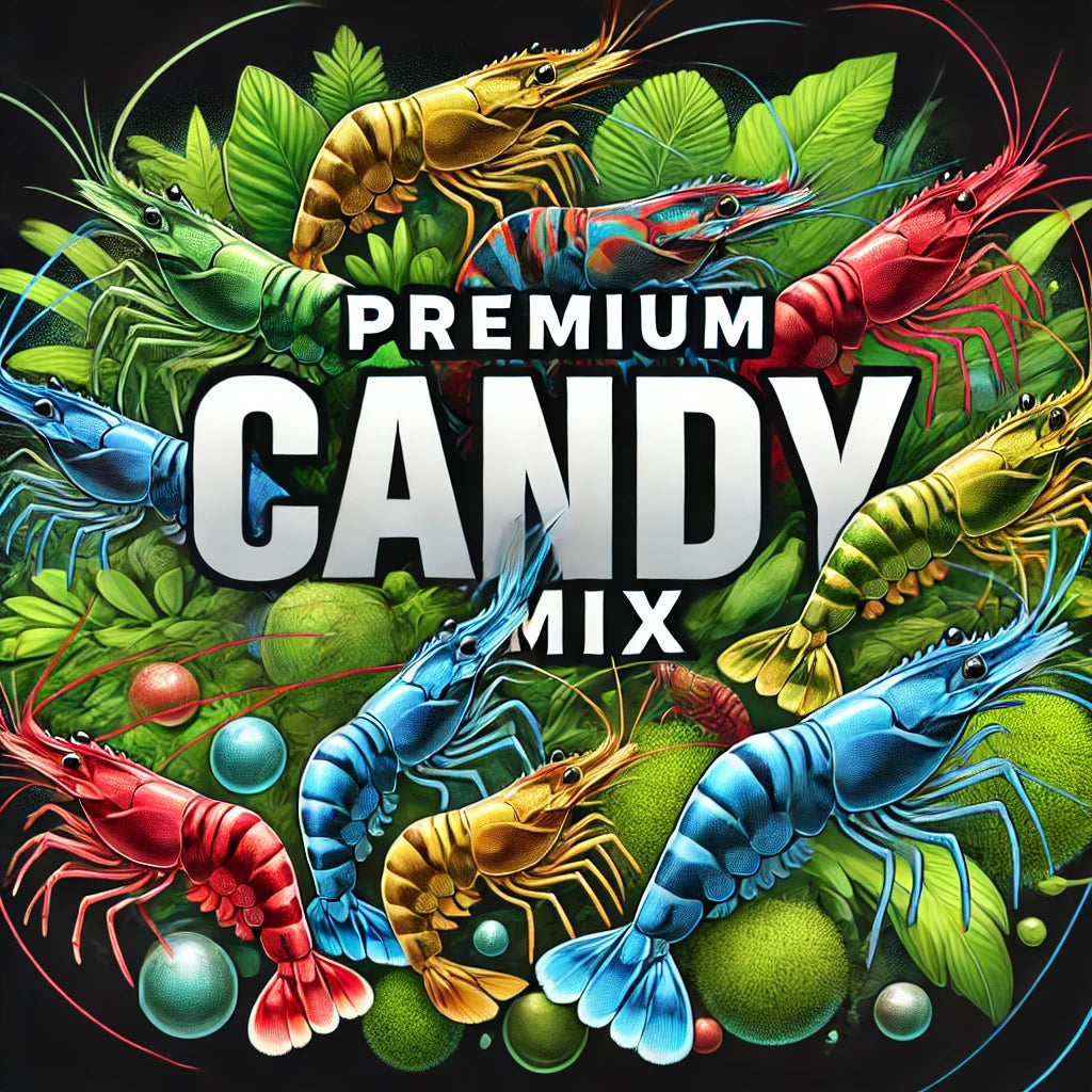 Premium Candy Mix