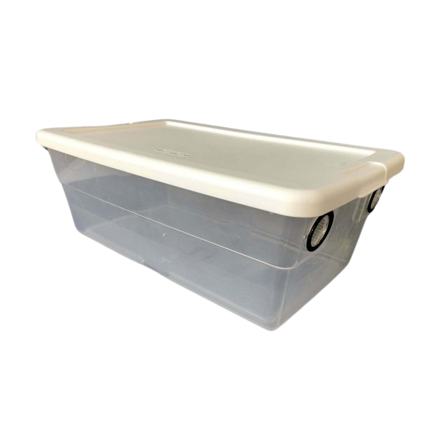 Large Isopod enclosure