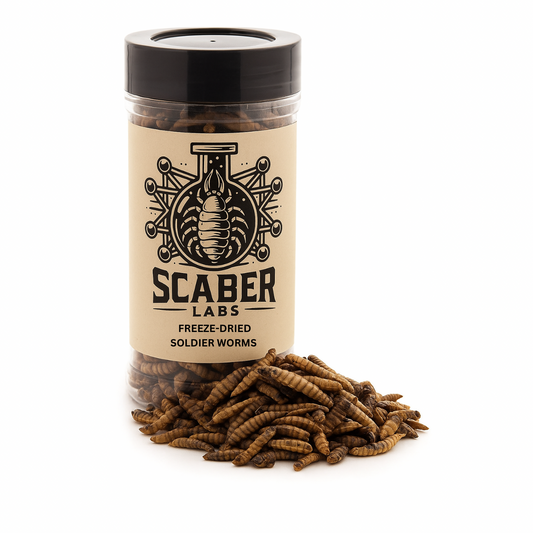 Freeze-Dried Soldier Worms