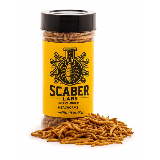 Freeze-Dried Mealworms